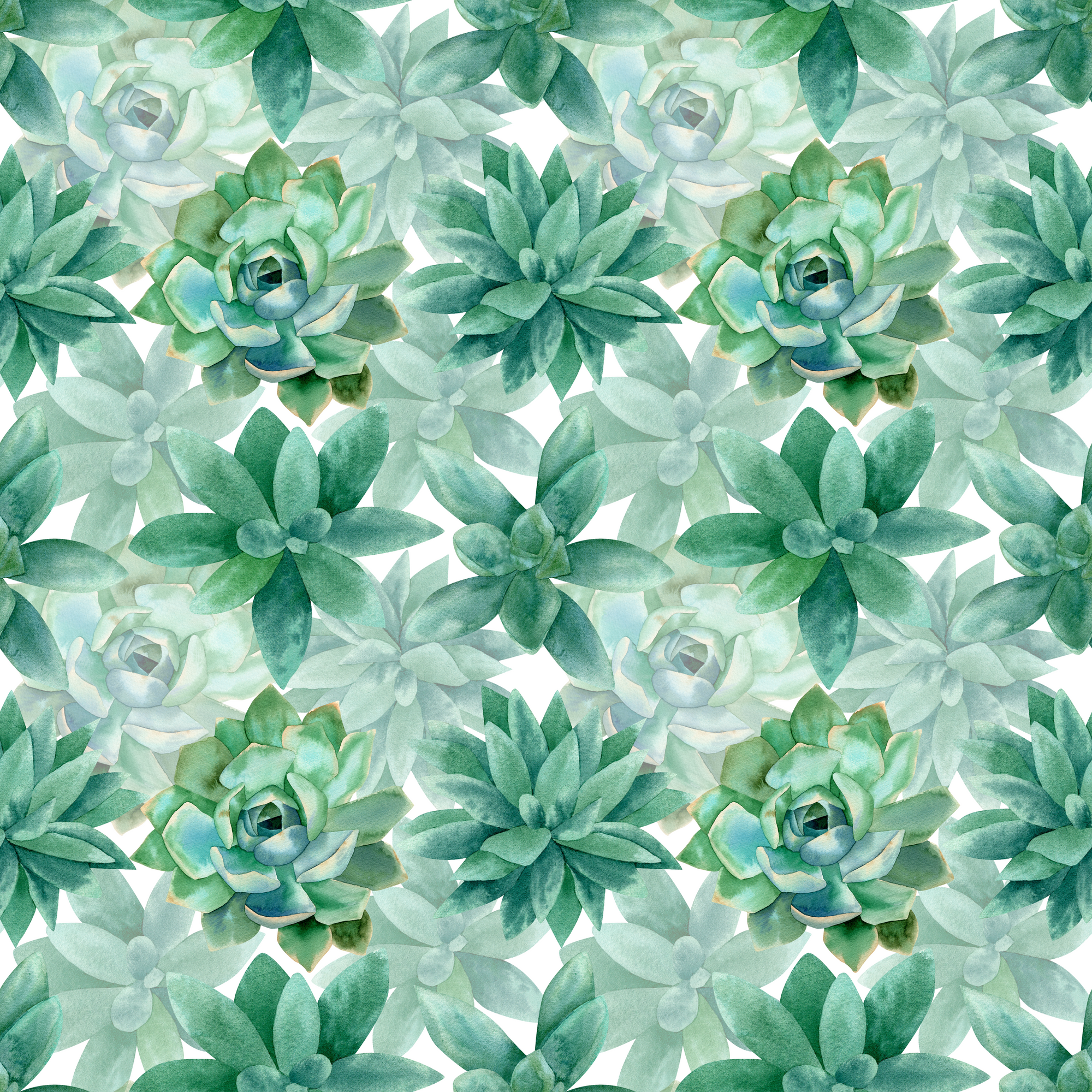 Seamless echeveria succulents floral pattern