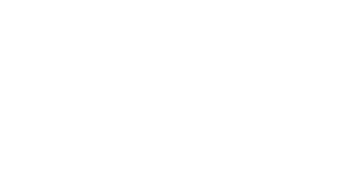 Solid Shampoos